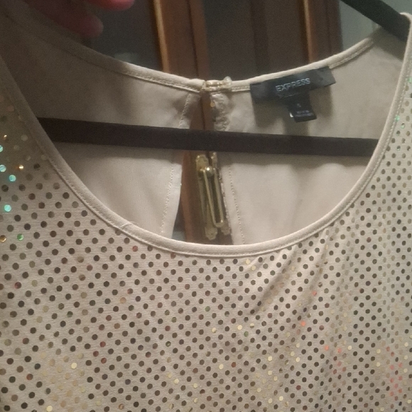 Express Elegant Sequin Dress in Cream - Picture 4 of 6